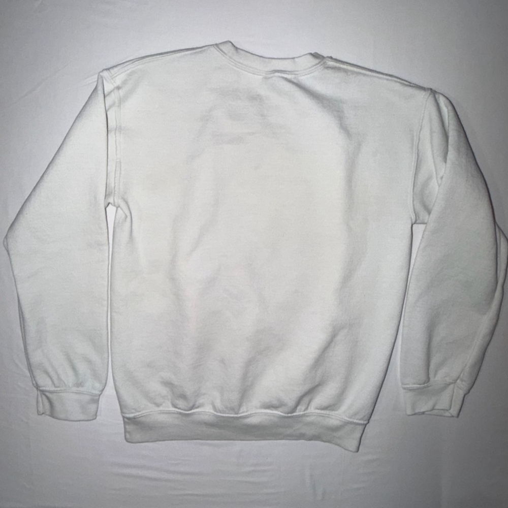 Lady Jane's Managers Meeting 2024 Graphic Sweatshirt Gildan White Lauderdale Sea - Picture 2 of 6
